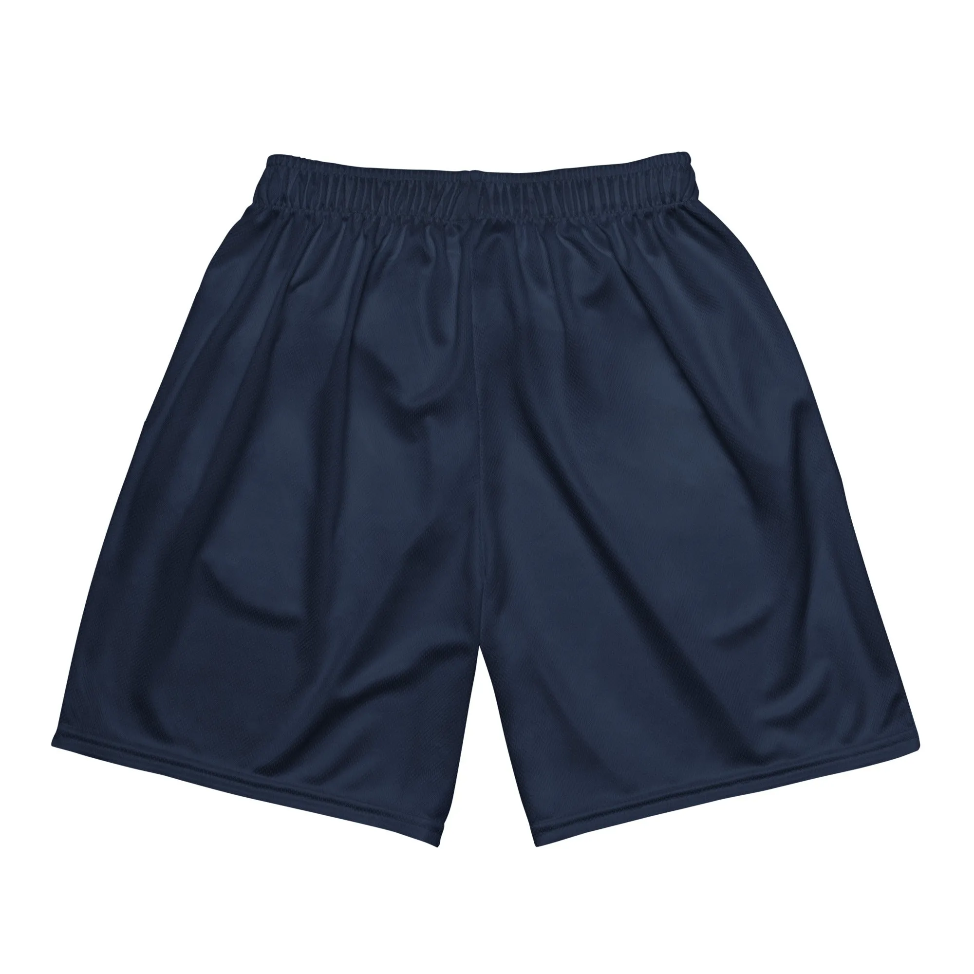 Navy Mesh Shorts