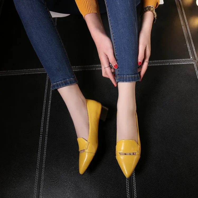 Women's's Pointed Toe Block Low Heels Pumps